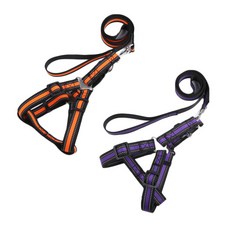 펫나인 안전 나일론 투톤 반려동물 리드줄 세트 L, 오렌지, 퍼플, 2세트