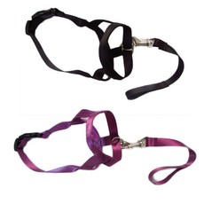 펫나인 강아지 나일론 심플 입마개 S, 블랙, 퍼플, 2개