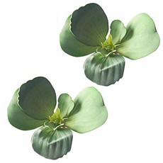 물배추 인공수초 A93122, 2개