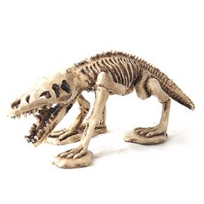 Nomoy Pet 肉食恐龍裝飾品(NS-99) 單品, 1個