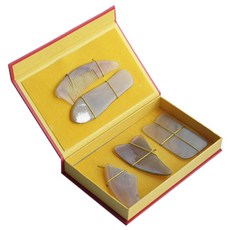 healthPLUS 梳狀刮痧套組 BZ-092L, 1套, 混色