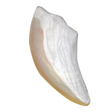healthPLUS 真絲三角旋風卦線BJ-039, 1個, 混色