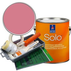 셔윈윌리암스 솔로 저광 페인트 세트, SW6578 Tuberose, 1개