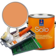 셔윈윌리암스 솔로 저광 페인트 세트, SW6641 Outgoing Orange, 1개