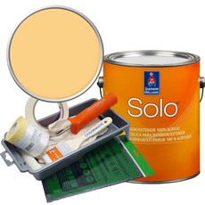 셔윈윌리암스 솔로 저광 1L 페인트 세트, SW9014 Pollen Powder