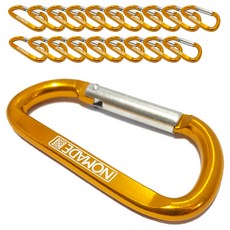 NOMADE 鋁合金登山扣 20入, 隨機出貨