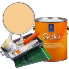 셔윈윌리암스 솔로 저광 1L 페인트 세트, SW6667 Afterglow