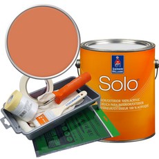 셔윈윌리암스 솔로 저광 페인트 세트, SW6627 Emberglow, 1개