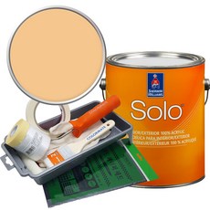 셔윈윌리암스 솔로 저광 1L 페인트 세트, SW9008 Bellini Fizz