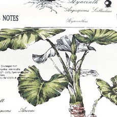 YUWA COTTON Suzukokoseki優質美麗植物布料, 象牙