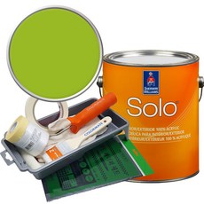 셔윈윌리암스 솔로 저광 페인트 세트, SW6921 Electric Lime, 1개