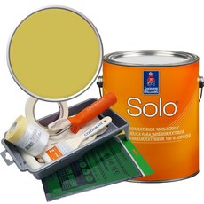 셔윈윌리암스 솔로 저광 페인트 세트, SW9030 Limon Fresco, 1개