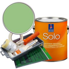 셔윈윌리암스 솔로 저광 페인트 세트, SW6731 Picnic, 1개