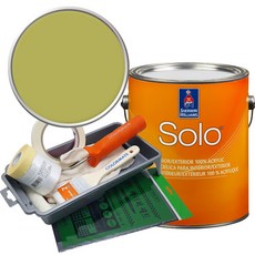 셔윈윌리암스 솔로 저광 페인트 세트, SW6711 Parakeet, 1개