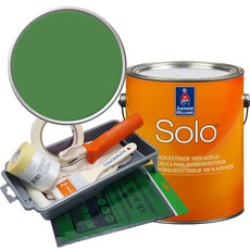 셔윈윌리암스 솔로 저광 페인트 세트, SW6733 Grasshopper, 1개