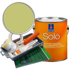 셔윈윌리암스 솔로 저광 페인트 세트, SW6710 Melange Green, 1개