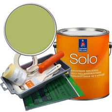 셔윈윌리암스 솔로 저광 페인트 세트, SW9031 Primavera, 1개