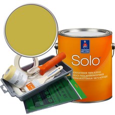 셔윈윌리암스 솔로 저광 페인트 세트, SW6704 Hep Green, 1개