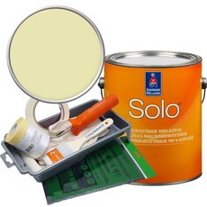 셔윈윌리암스 솔로 저광 페인트 세트, SW6708 Springtime, 1개