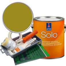 셔윈윌리암스 솔로 저광 페인트 세트, SW6706 Offbeat Green, 1개