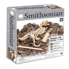Smithsonian Toytron 恐龍化石挖掘科學實驗套組, 1套