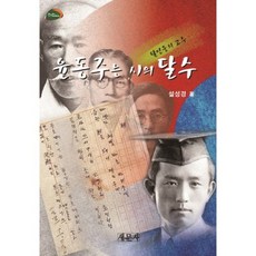 尹東柱是詩的達人：達人中的高手, 薛聖京 著, 新文社