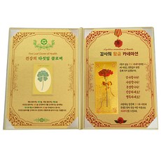 럭키심볼 건강의 다섯잎클로버 앤 감사의 황금지폐 카네이션 고급케이스 A4 세트