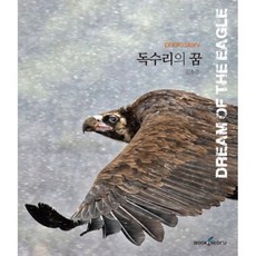 Book&Story 老鷹之夢 ： 金鍾鏡攝影集, 金鍾鏡 著