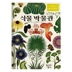 植物博物館：我書桌上的自然史博物館, 飛龍沼, 我桌上的自然史博物館系列