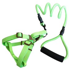 인터팝 튼튼 반려견 로프리드줄 세트 L, 04, 1세트