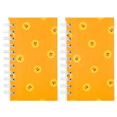 라인프렌즈 그레이트 수첩, 샐리, 2개입