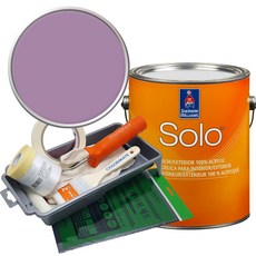 셔윈윌리암스 솔로 저광 페인트 세트, SW6837 Baroness, 1개