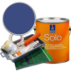 셔윈윌리암스 솔로 저광 페인트 세트, SW6971 Morning Glory4, 1개