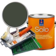 셔윈윌리엄스 솔로 저광 페인트 세트, SW7749 Laurel Woods, 1개