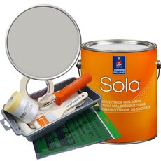 셔윈윌리엄스 솔로 저광 페인트 세트, SW7649 Silverplate, 1개