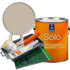 셔윈윌리엄스 솔로 저광 페인트 세트, SW7506 Loggia, 1개