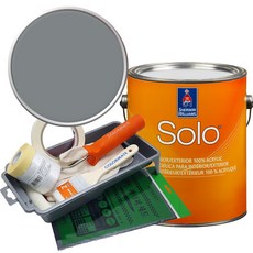 셔윈윌리엄스 솔로 저광 페인트 세트, SW7074 Software, 1개