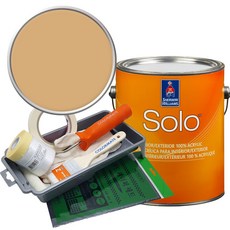 셔윈윌리암스 솔로 저광 페인트 세트, SW6388 Golden Fleece, 1개