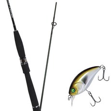 Won Da Marisol路亞竿 602LSP+Damiki DTSCO 40硬餌路亞 343D MIRROR GREEN, 1套