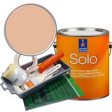 셔윈윌리암스 솔로 저광 페인트 세트, SW6345 Sumptuous Peach, 1개