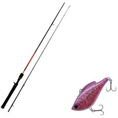 Apice Fire Storm Bass路亞竿 C662M+Damiki鉛頭 60硬路亞餌 28g 228H SPINE ILLUSION, 1套