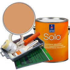 셔윈윌리암스 솔로 저광 페인트 세트, SW6360 Folksy Gold, 1개