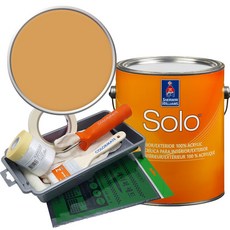 셔윈윌리암스 솔로 저광 페인트 세트, SW6382 Ceremonial Gold, 1개