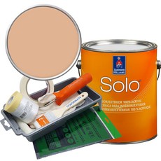 셔윈윌리암스 솔로 저광 페인트 세트, SW6352 Soft Apricot, 1개