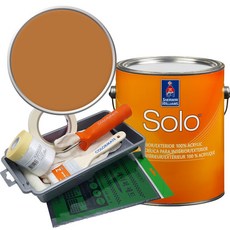 셔윈윌리암스 솔로 저광 페인트 세트, SW6370 Saucy Gold, 1개