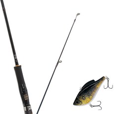 Won Da Avalon捲線式擬餌釣竿 602ML+Damiki鉛墜 60硬餌擬餌 28g 230H BLACK GOLD, 1套