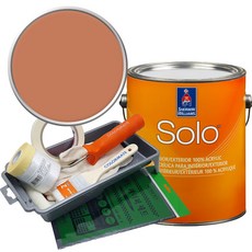 셔윈윌리암스 솔로 저광 페인트 세트, SW6347 Chrysandthemum, 1개