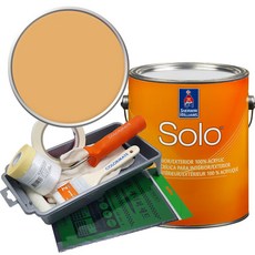 셔윈윌리암스 솔로 저광 페인트 세트, SW6374 Torchlight, 1개