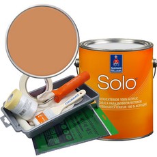 셔윈윌리암스 솔로 저광 페인트 세트, SW6361 Autumnal, 1개