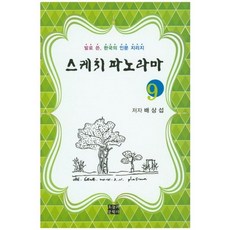 스케치 파노라마 9:발로 쓴 한국의 인문 지리지, 오늘의문학사, 배상섭 저